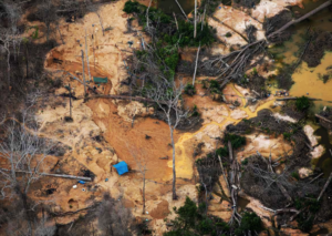 ‘Washington Post’: Xavantes querem salvar a floresta