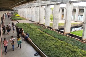 Universidades agonizam