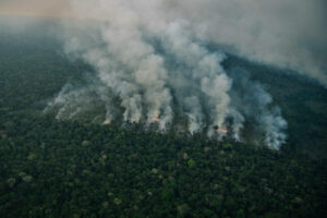 G20 quer ação climática global