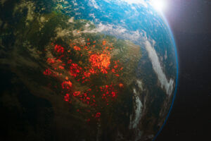 Devastação ambiental