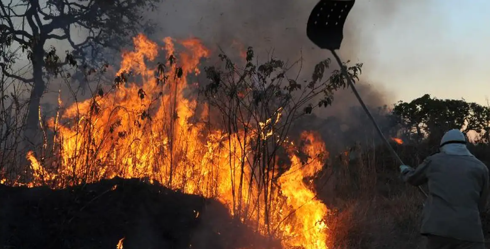 Dia da Amazônia: incêndio, desmatamento e garimpo marcam cenário do bioma