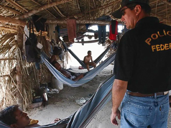 Recorde: em agosto, 593 vítimas são libertadas do trabalho escravo no Brasil