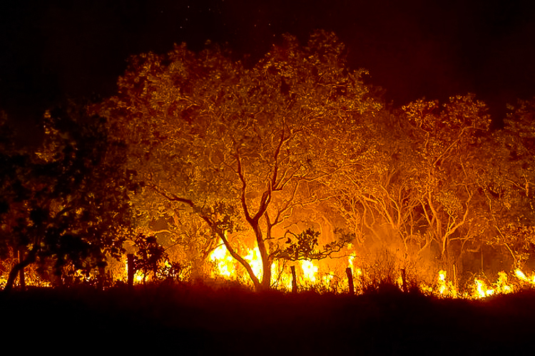 Decreto impõe multas maiores a provocadores de incêndios