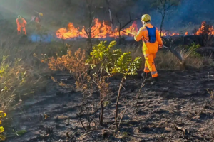 Senadores do PT irão debater incêndios e mudanças climáticas