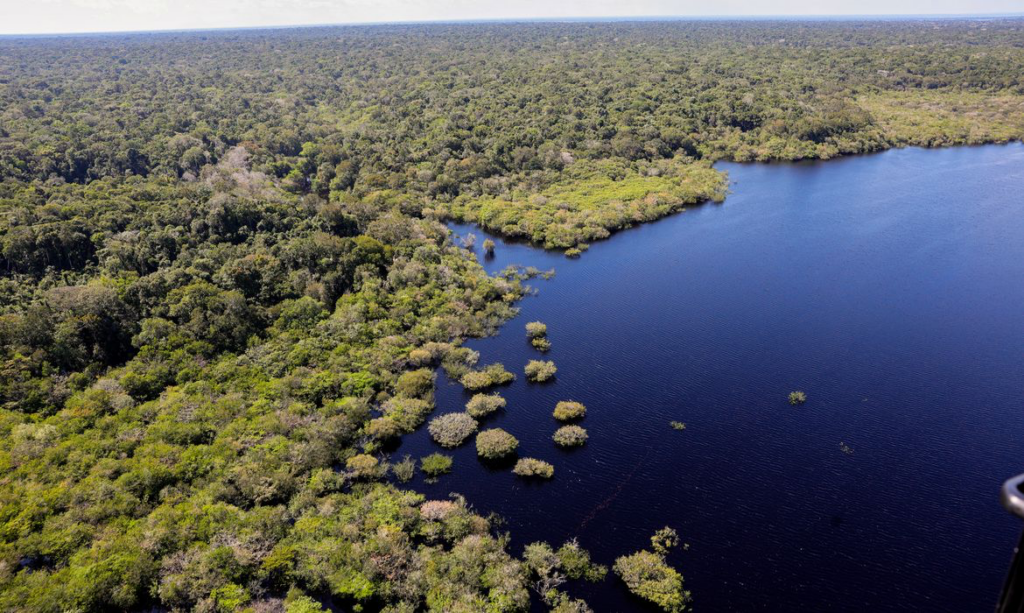 Fundo Amazônia libera R$ 180 milhões para combater queimadas na Amazônia Legal