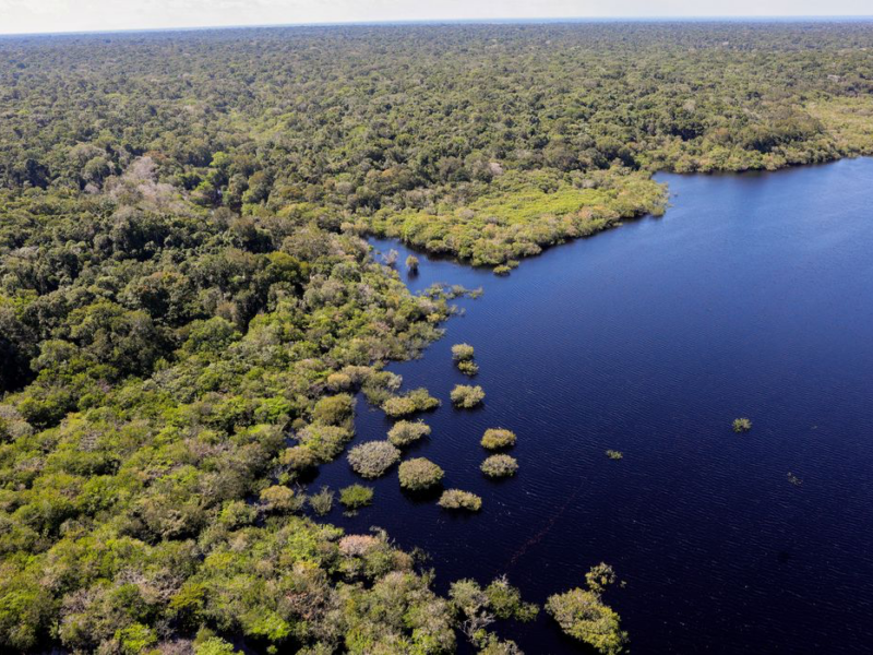 Fundo Amazônia libera R$ 180 milhões para combater queimadas na Amazônia Legal