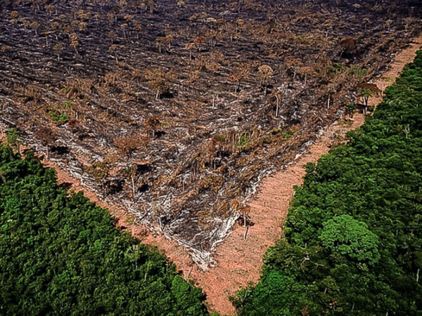 Emergência climática e agricultura, por Beto Faro