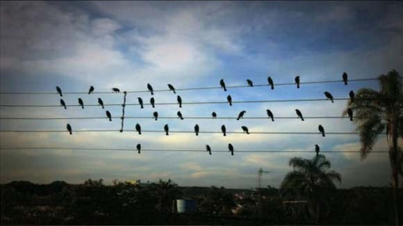 Paulo Pinto, da Agência Brasil, vence Prêmio Vladimir Herzog em fotografia