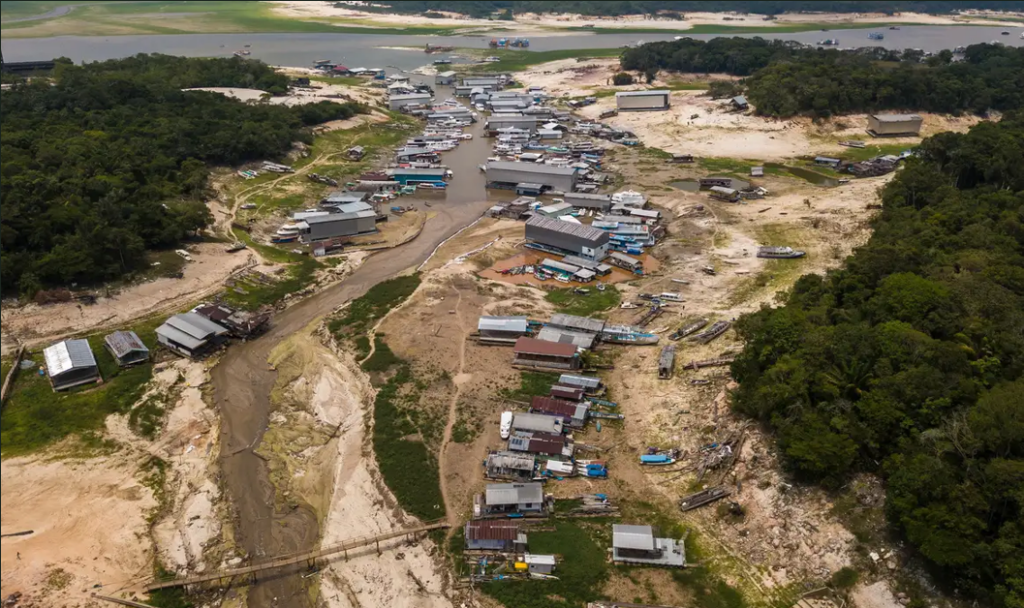 Com redução do desmatamento e metas para diminuir efeito estufa, Brasil se prepara sediar COP 30  