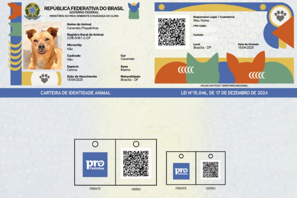 Governo lança política nacional para proteger cães e gatos e combater maus-tratos Governo lança política nacional para proteger cães e gatos e combater maus-tratos