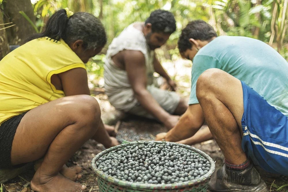 A partir da COP30, Grupo de Trabalho da FPA discute desenvolvimento na Amazônia A partir da COP30, Grupo de Trabalho da FPA discute desenvolvimento na Amazônia