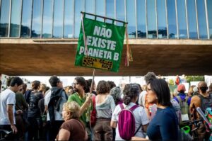 PL da Devastação avança no Senado e Marina Silva aponta retrocesso