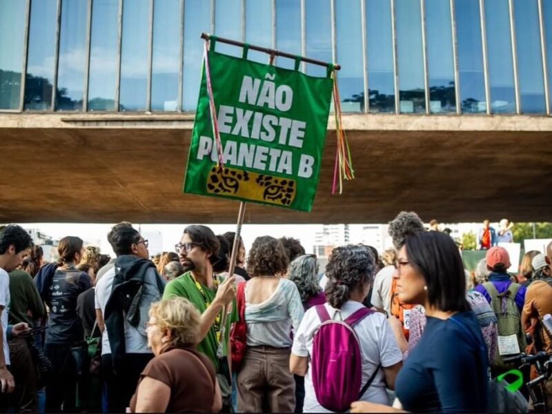 PL da Devastação avança no Senado e Marina Silva aponta retrocesso