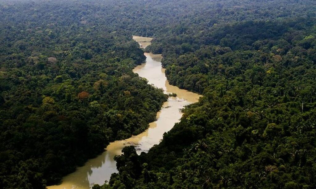 Lula sanciona lei do licenciamento ambiental com 63 vetos Lula sanciona lei do licenciamento ambiental com 63 vetos
