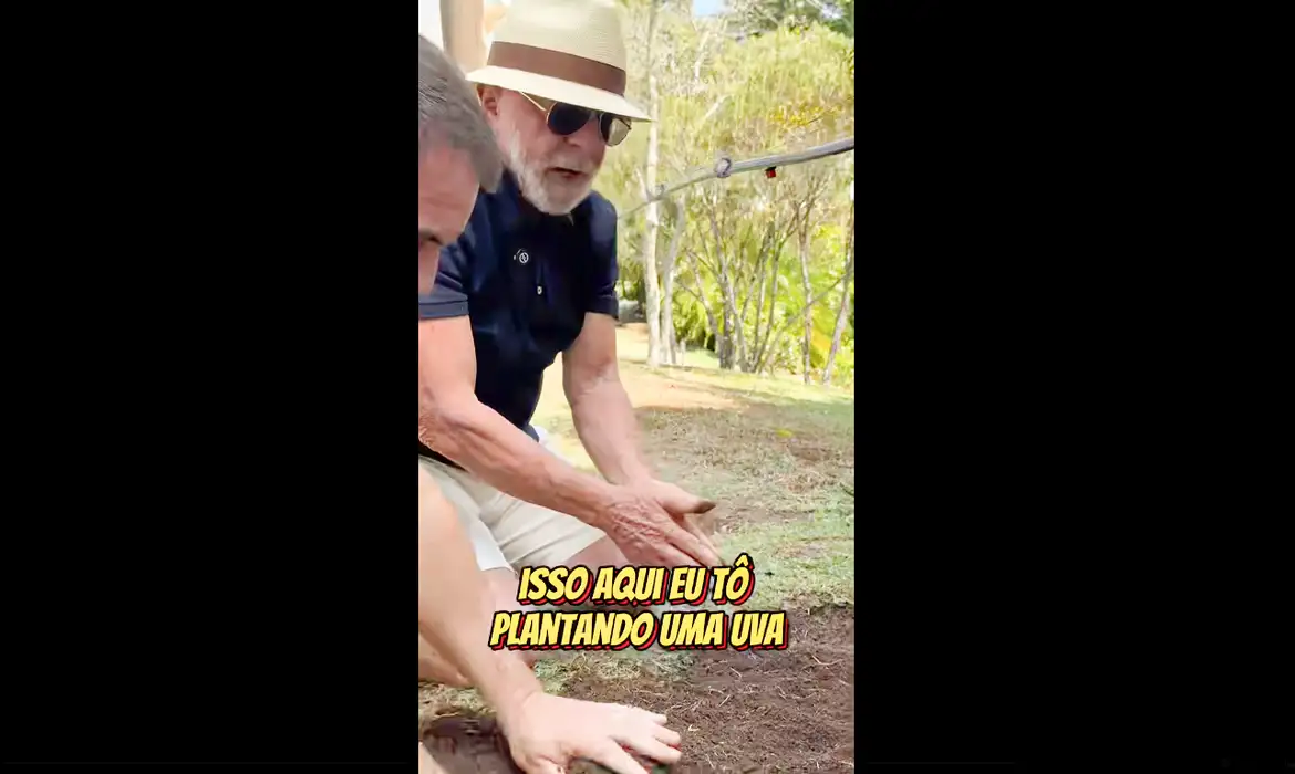“Planto comida, não ódio”: Lula planta uva no Alvorada e manda recado a Trump