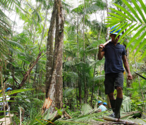 Cartilha sobre COP30 e desenvolvimento da Amazônia está disponível para download