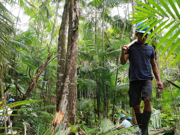 Cartilha sobre COP30 e desenvolvimento da Amazônia está disponível para download