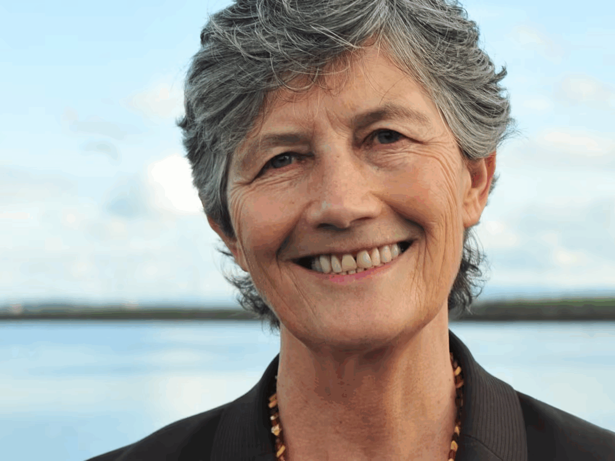 Irlanda escolhe a esquerda: Catherine Connolly vence com ampla frente progressista