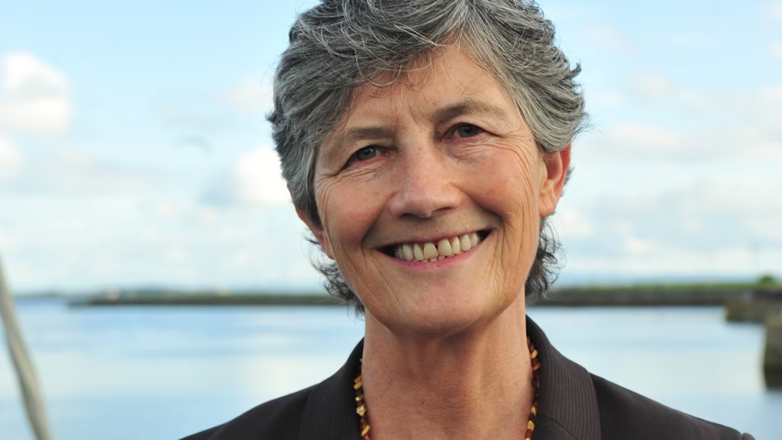 Irlanda escolhe a esquerda: Catherine Connolly vence com ampla frente progressista Irlanda escolhe a esquerda: Catherine Connolly vence com ampla frente progressista