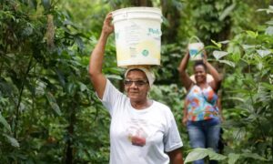 Com menção inédita a afrodescendentes, documento final da COP30 aponta combate ao racismo ambiental 