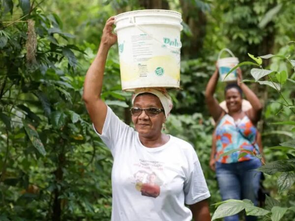 Com menção inédita a afrodescendentes, documento final da COP30 aponta combate ao racismo ambiental 