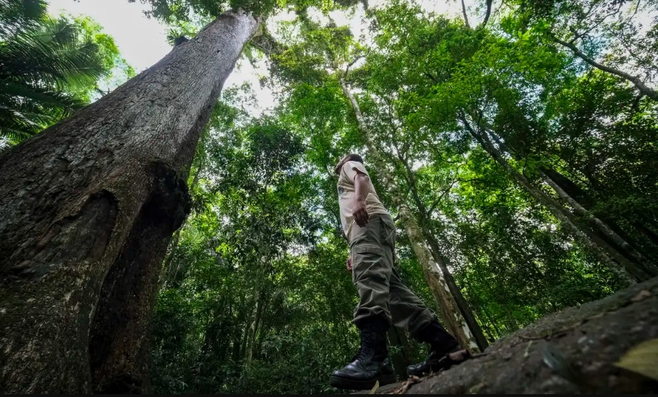 COP30: desafios, metas e futuro climático em pauta no coração da Amazônia COP30: desafios, metas e futuro climático em pauta no coração da Amazônia