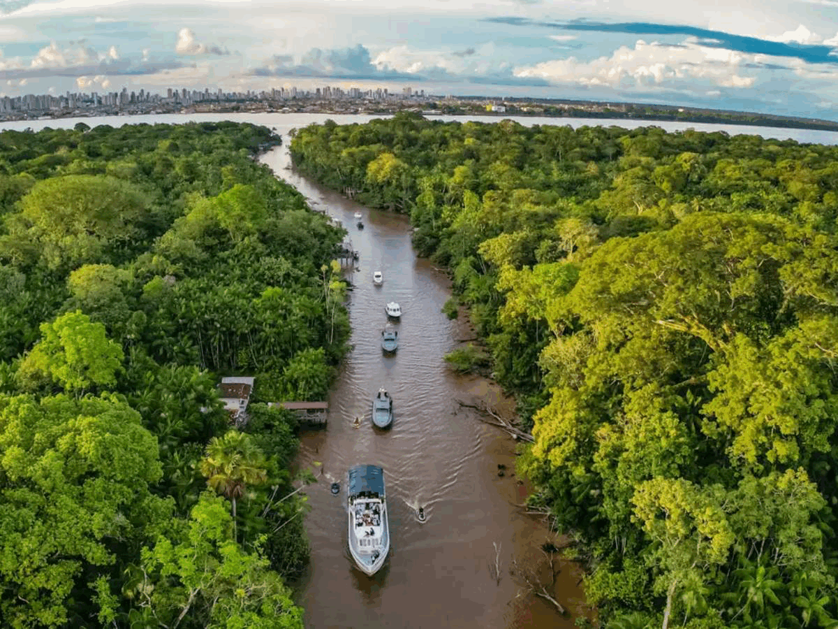 COP30 e o desafio global da desinformação climática e a proposta do Brasil, por Frederico Assis