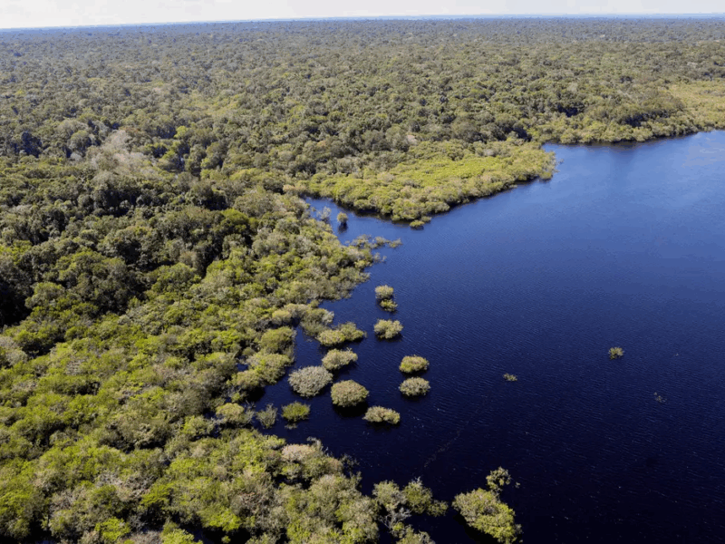 Fundação Perseu Abramo lança série de vídeos sobre desenvolvimento inclusivo na Amazônia em semana decisiva da COP30 