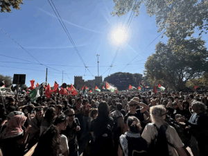 Dia da solidariedade com o povo palestino registra mobilização global