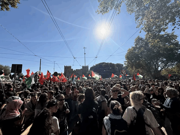 Dia da solidariedade com o povo palestino registra mobilização global