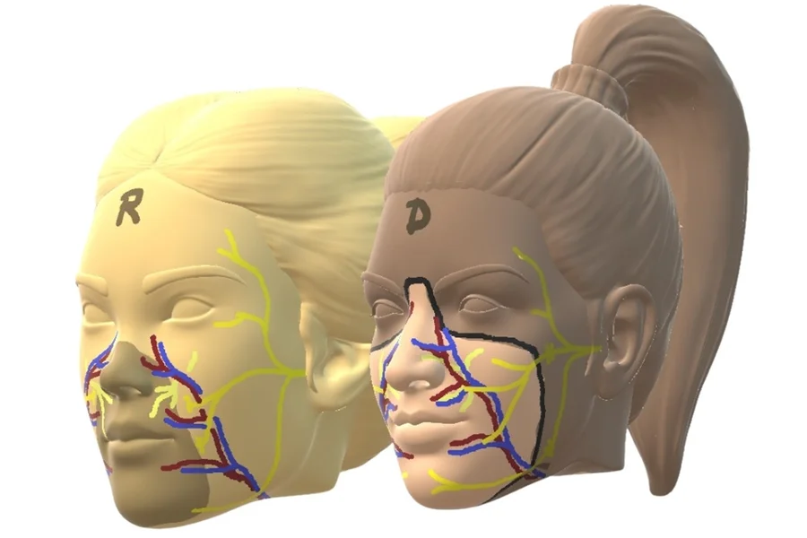 Primeiro transplante facial é realizado com doadora que optou por morte assistido
