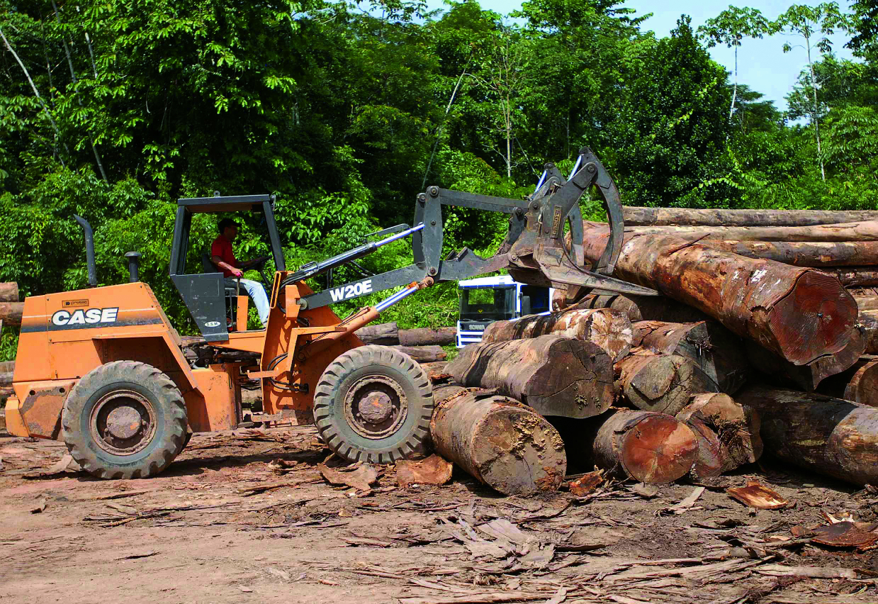 Desmatamento e extração industrial de madeira em floresta tropical.