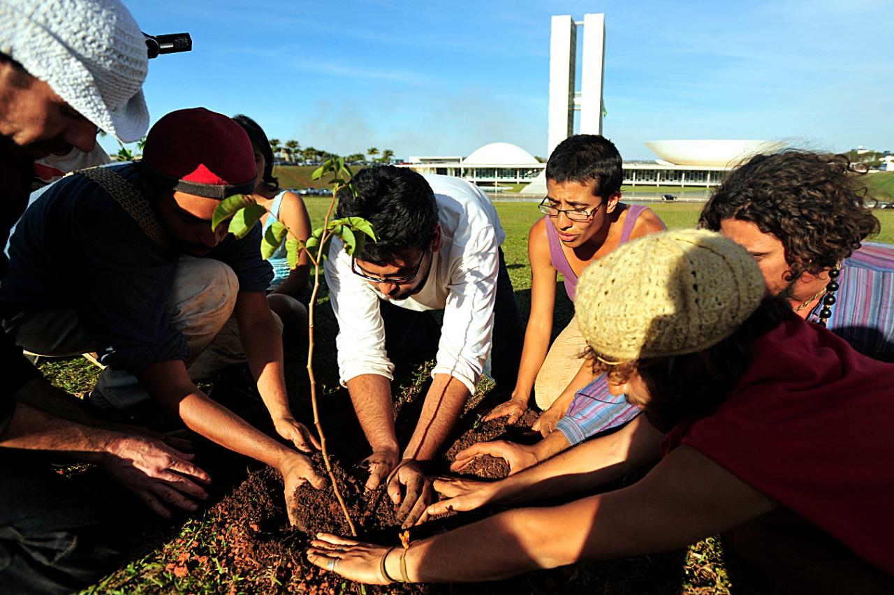 Imagem: Ambientalistas fazem manifestação em Brasília