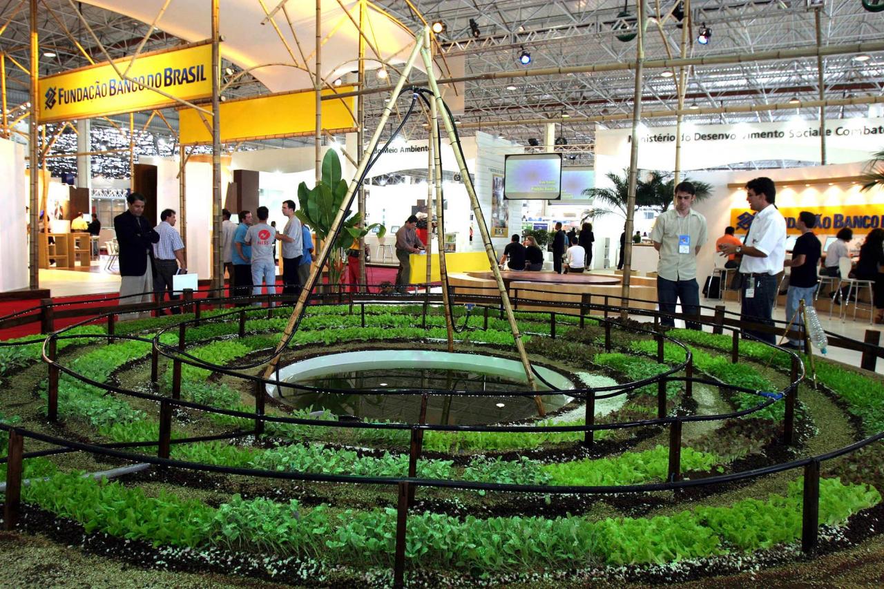 Mandalla: projeto para melhorar a qualidade de vida de comunidades rurais