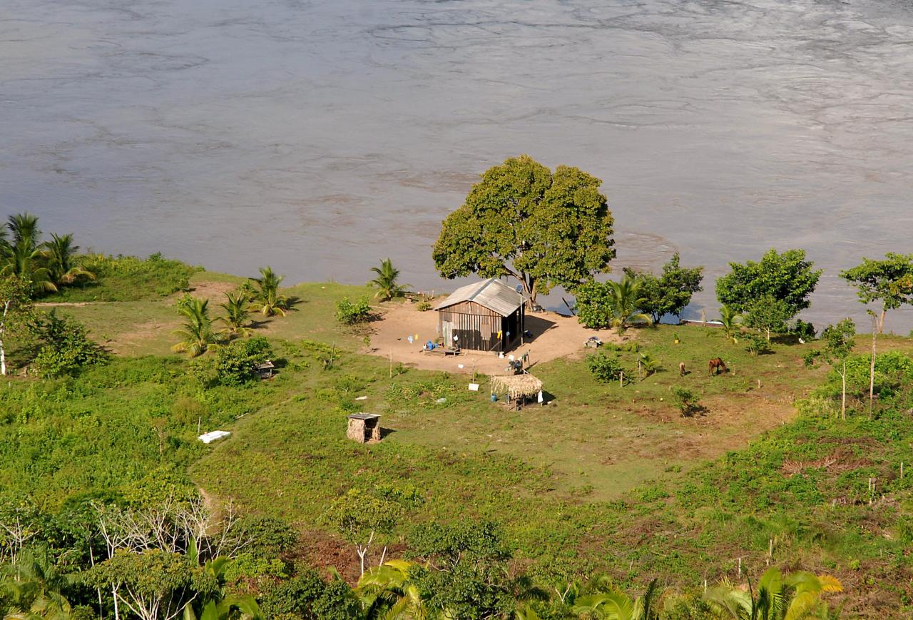 Às margens do rio Madeira, produção familiar de Rondônia