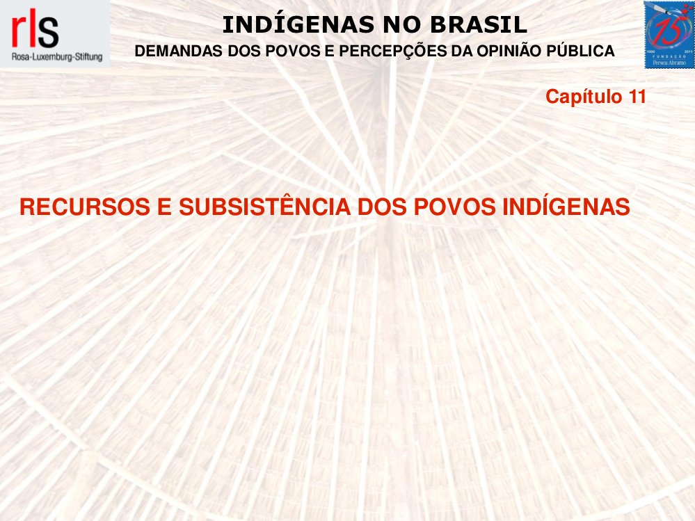 Quem deveria dar apoio ao desenvolvimento indígena