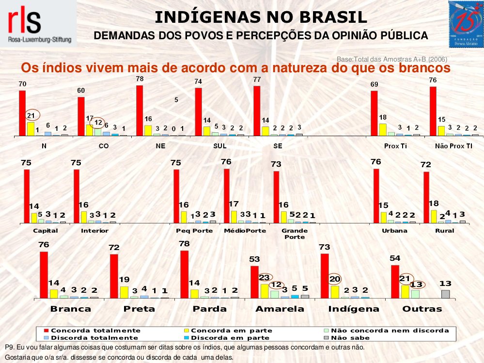 Percepções Públicas: Indígenas, Natureza e Raça no Brasil
