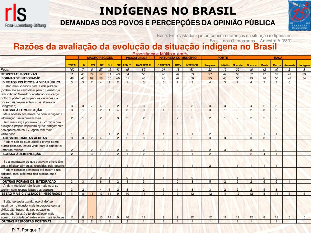 Indígenas no Brasil: Demandas e Percepções Públicas