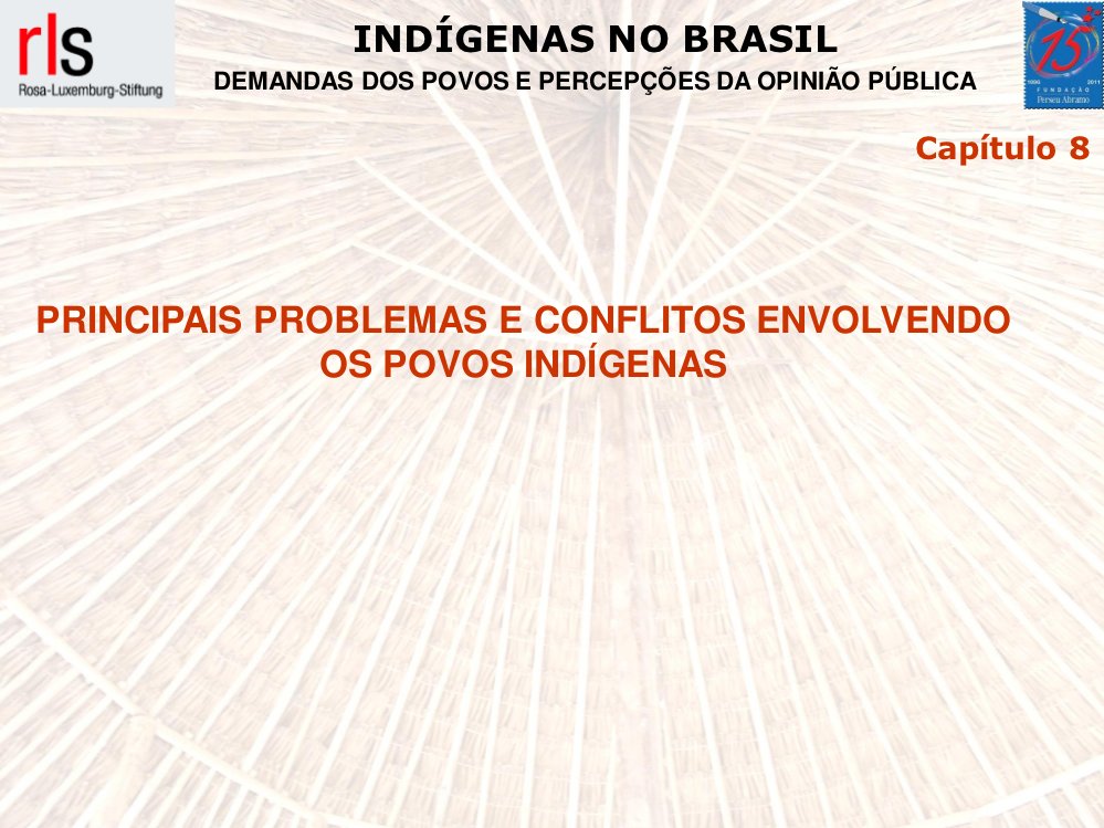 Indígenas no Brasil: Problemas e Conflitos