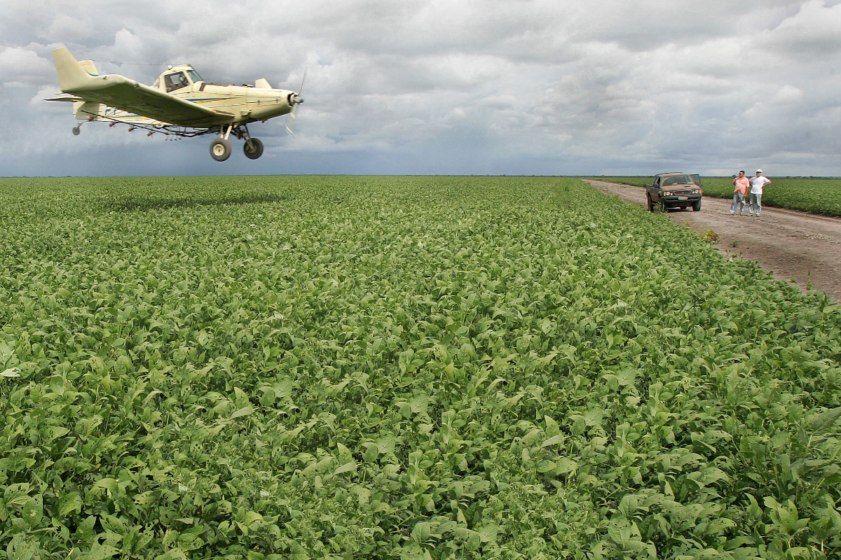 Plantio de soja no sul do Piauí: burguesia agrária garantiu espaço na classe dom