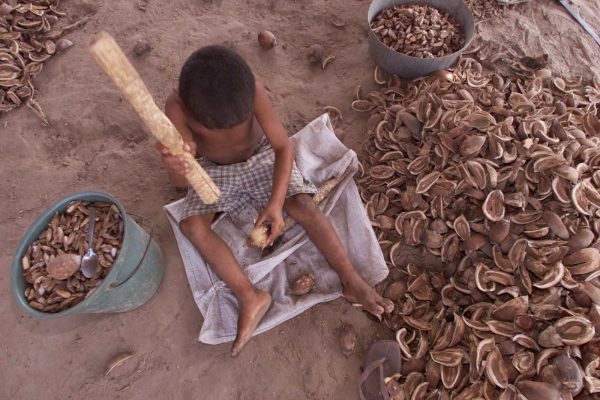 Infância e Trabalho: Descascando Frutos da Terra