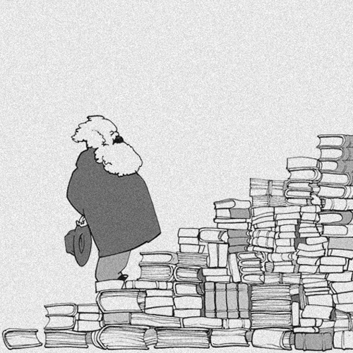 A jornada do conhecimento: subindo a escada dos livros