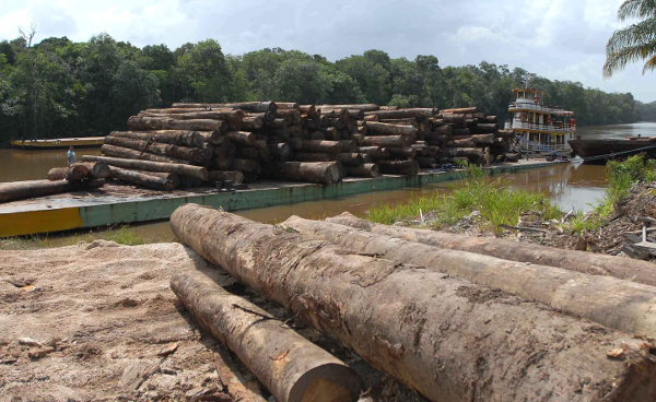 Logging na Amazônia: Transporte Fluvial de Madeira Bruta