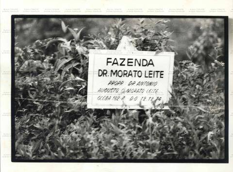 Fazenda Dr. Morato Leite: Identificação de Propriedade Rural em 1974