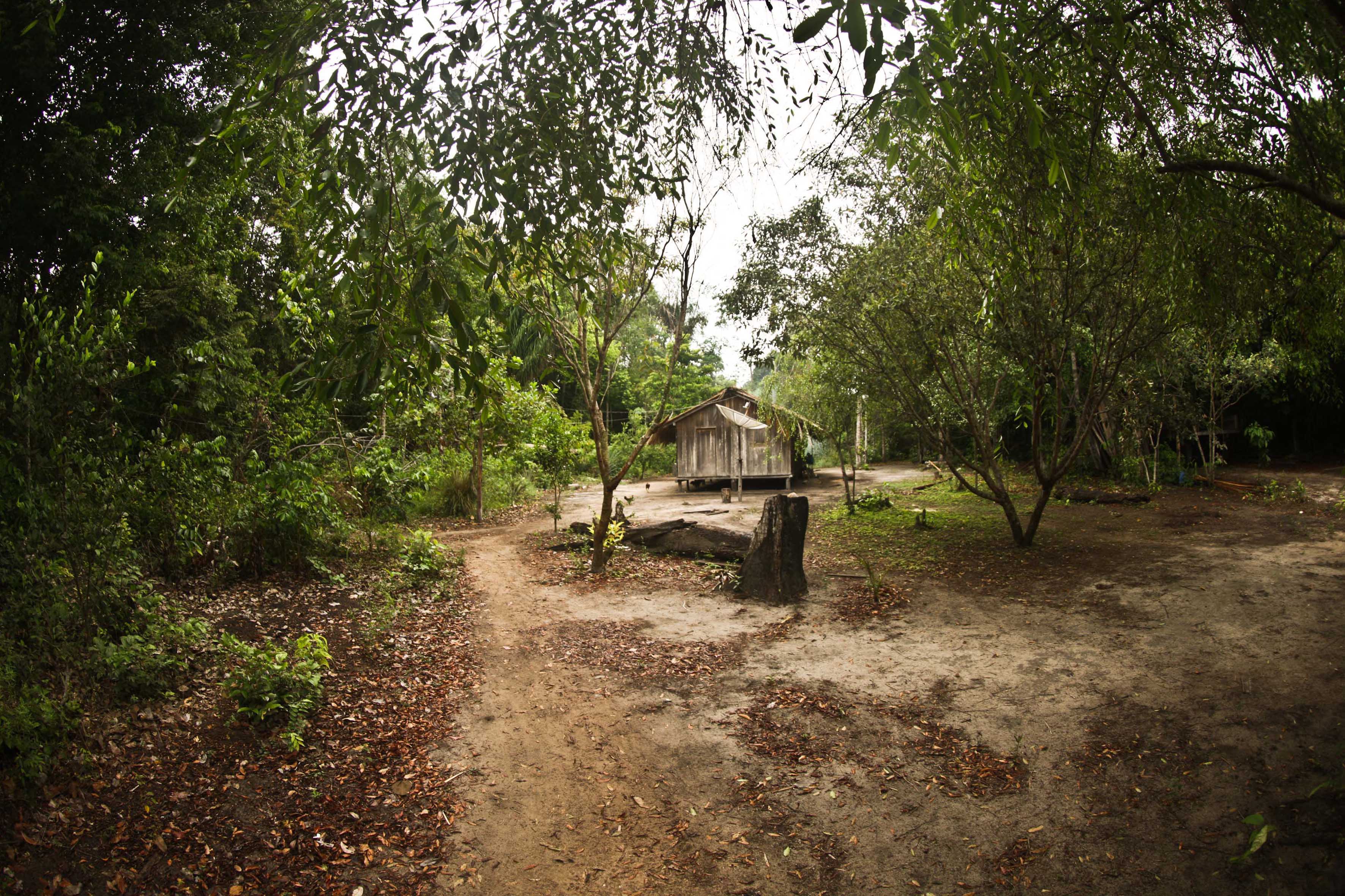 Moradia rústica em meio à natureza exuberante