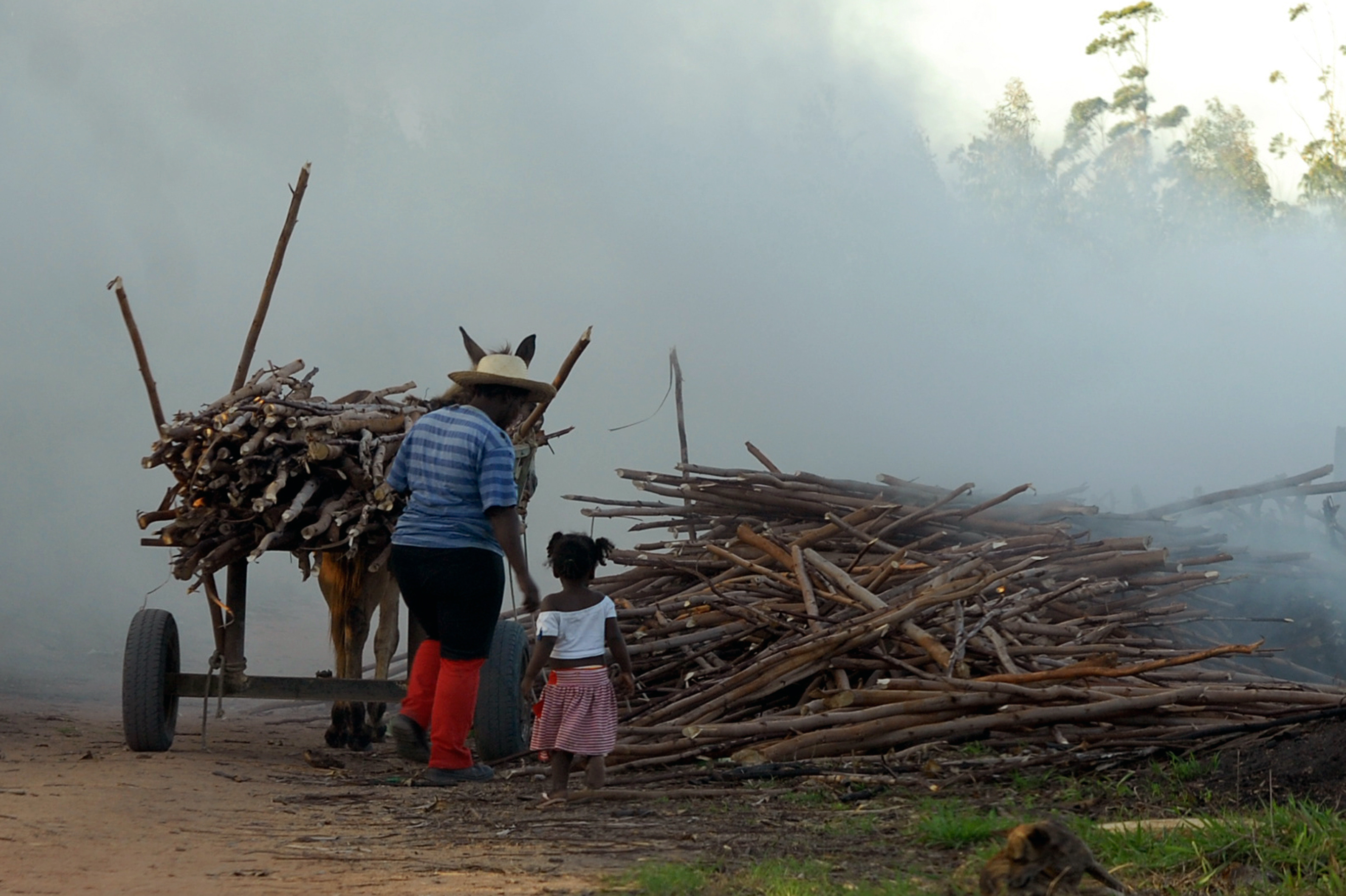 Trabalho Rural: Extração de Madeira em Meio à Fumaça