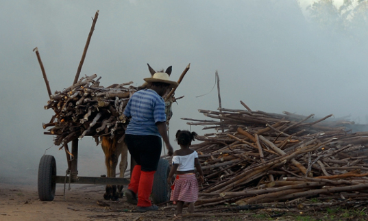 Mulher, criança e jumento carregam lenha em meio à fumaça.