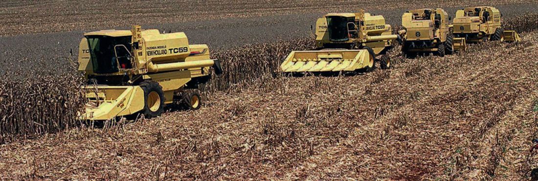 Colheita mecanizada de grãos: New Holland em ação no campo