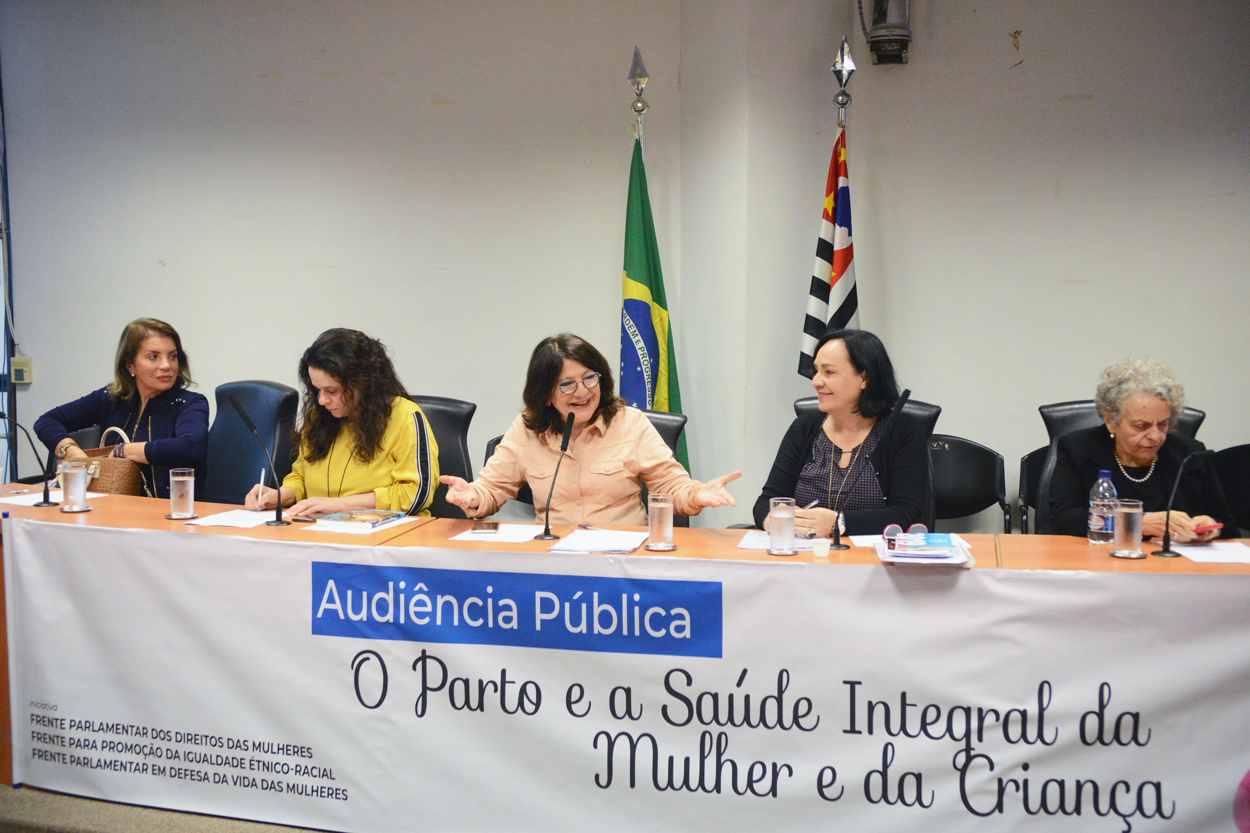 Audiência Pública sobre Parto e Saúde Integral da Mulher e da Criança