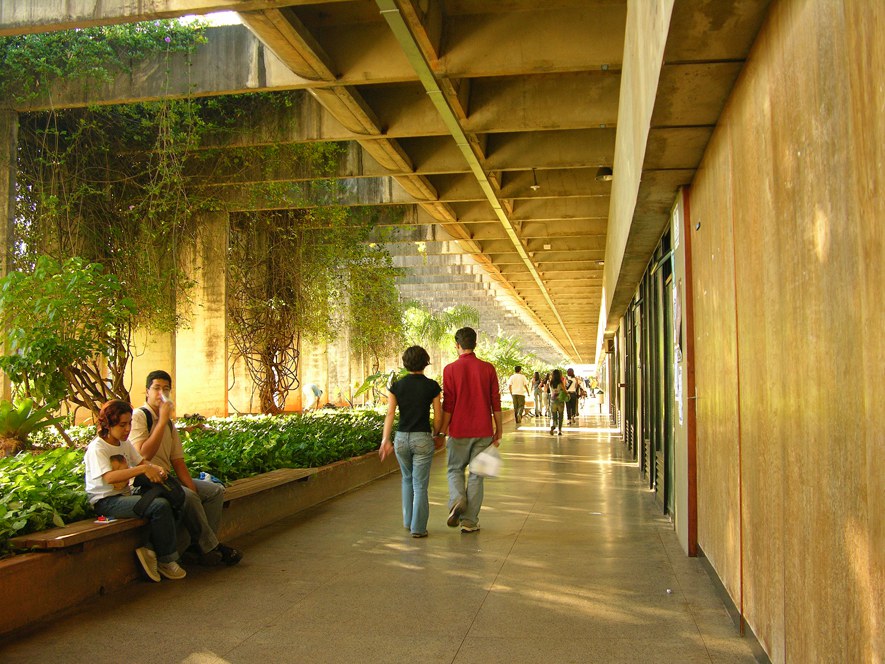 Cotidiano e Natureza em Corredor Urbano